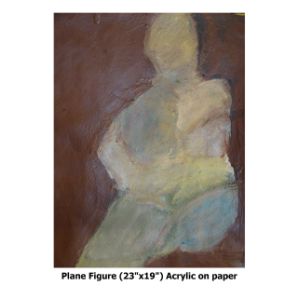 Plane Figure.jpg